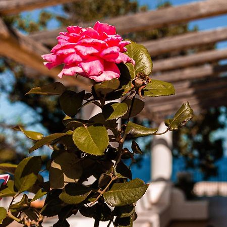 Villa Grazia Lipari Ngoại thất bức ảnh